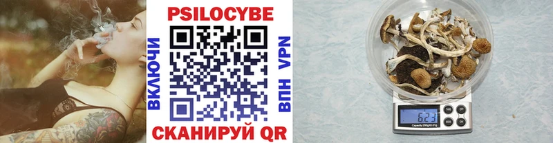 цены наркотик Шумиха ссылка на мегу сайт Галлюциногенные грибы прущие грибы